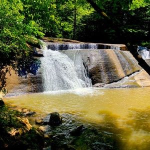 Meet your Posher, Tracey